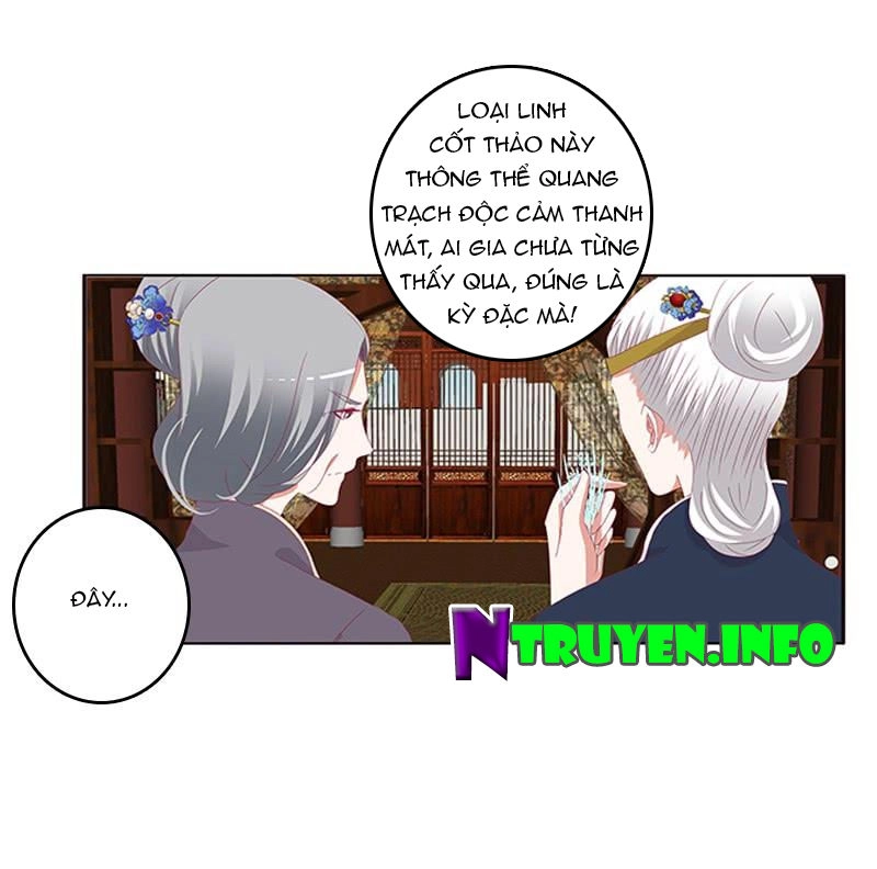 Thông Linh Phi Chapter 448 - 12