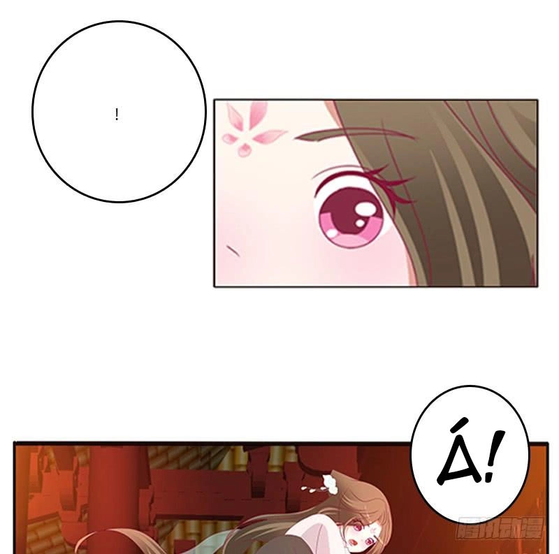 Thông Linh Phi Chapter 484 - 23