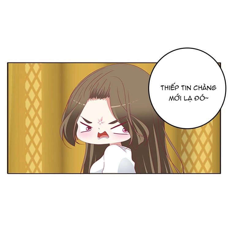 Thông Linh Phi Chapter 488 - 14