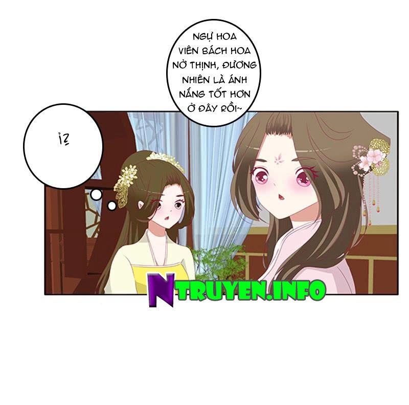 Thông Linh Phi Chapter 496 - 22