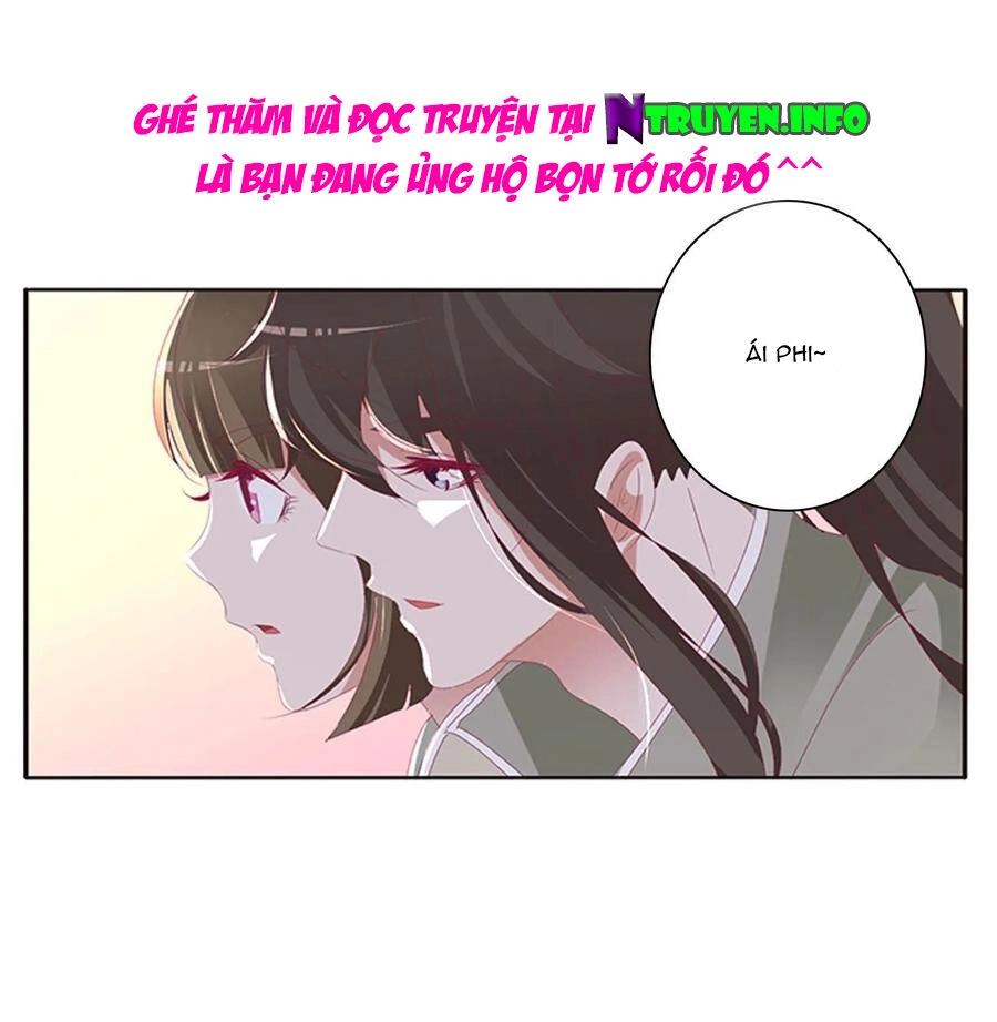 Thông Linh Phi Chapter 561 - 20