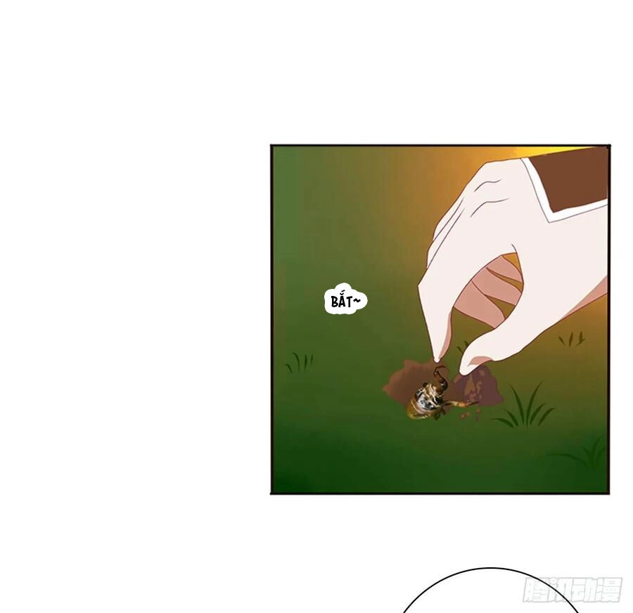 Thông Linh Phi Chapter 626 - 4