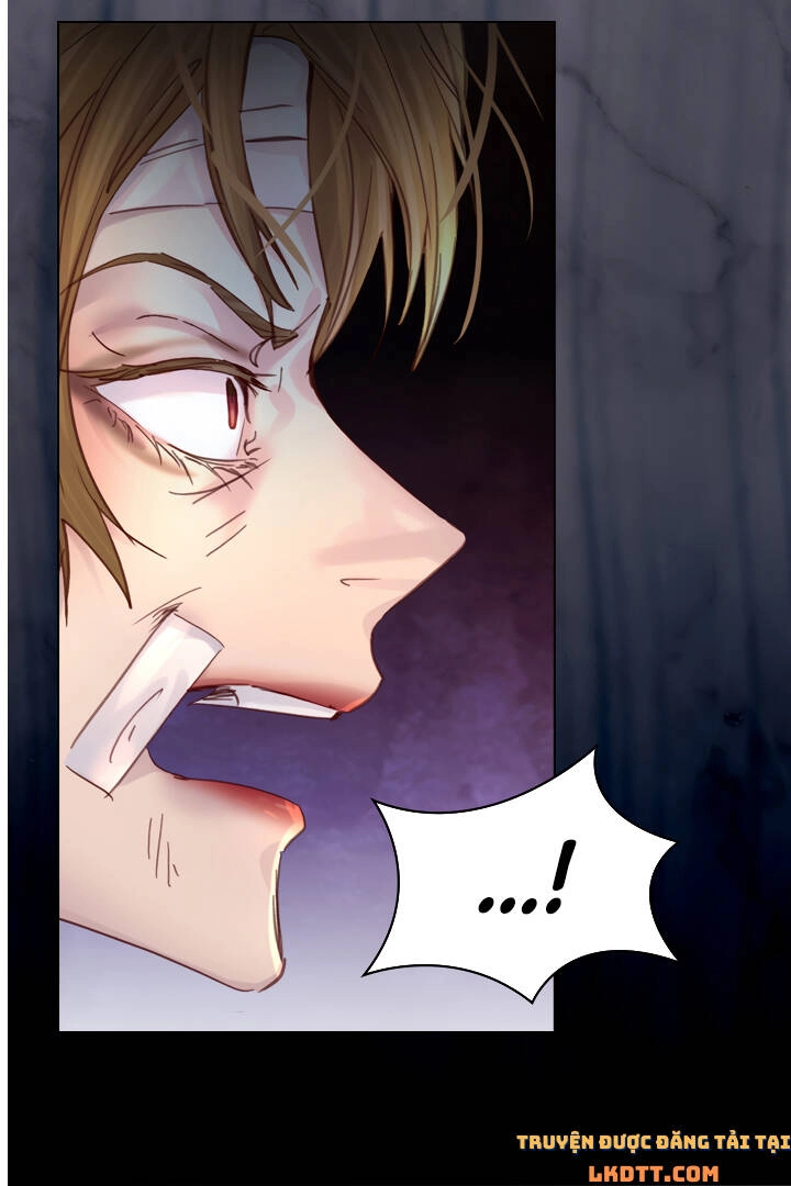 Quy Luật Sinh Tồn Của Nữ Phụ Chapter 29 - 37