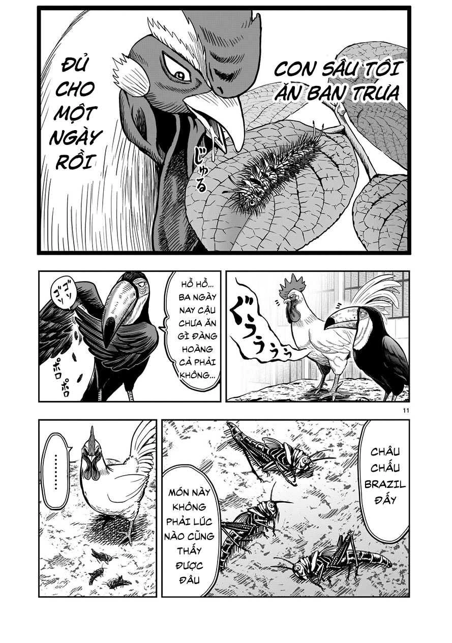 Cự Kê Chiến Ký Chapter 3 - 11