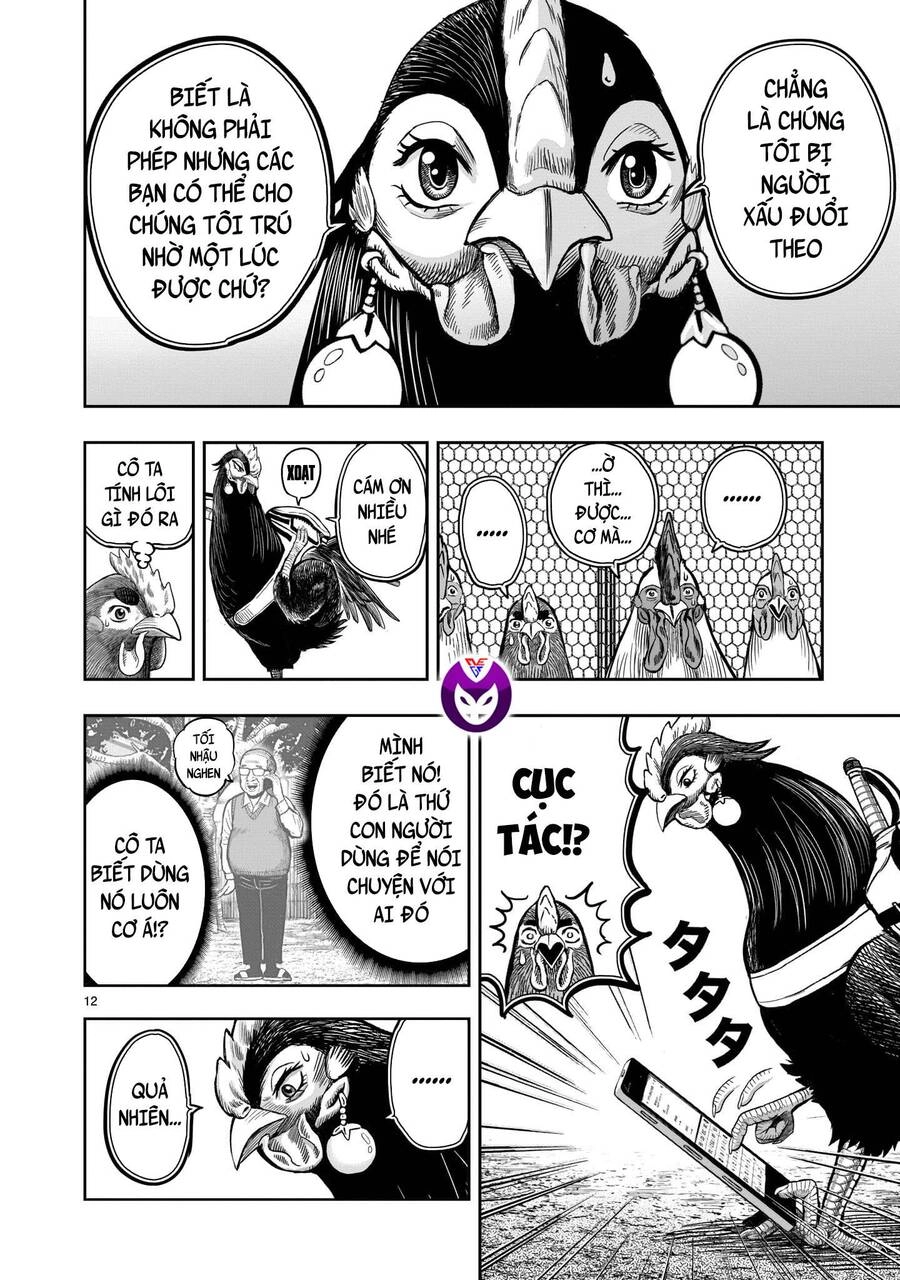 Cự Kê Chiến Ký Chapter 11 - 14