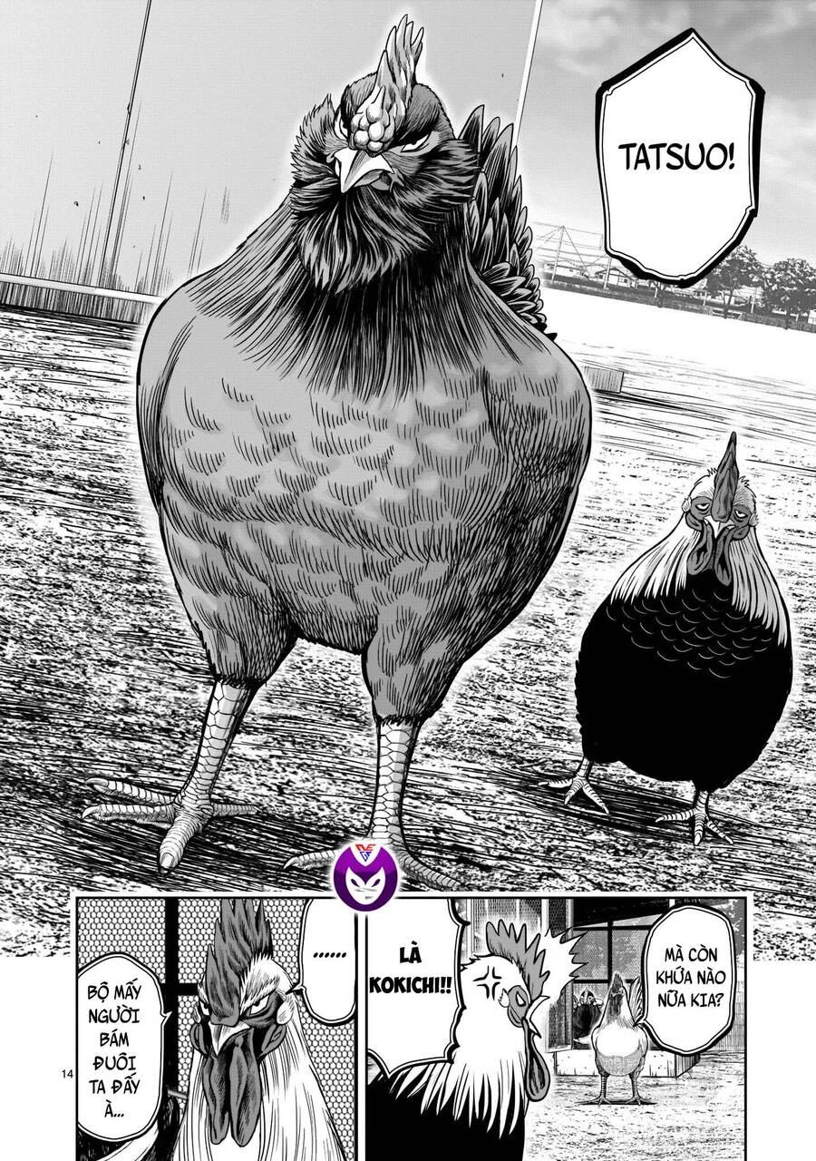 Cự Kê Chiến Ký Chapter 11 - 16