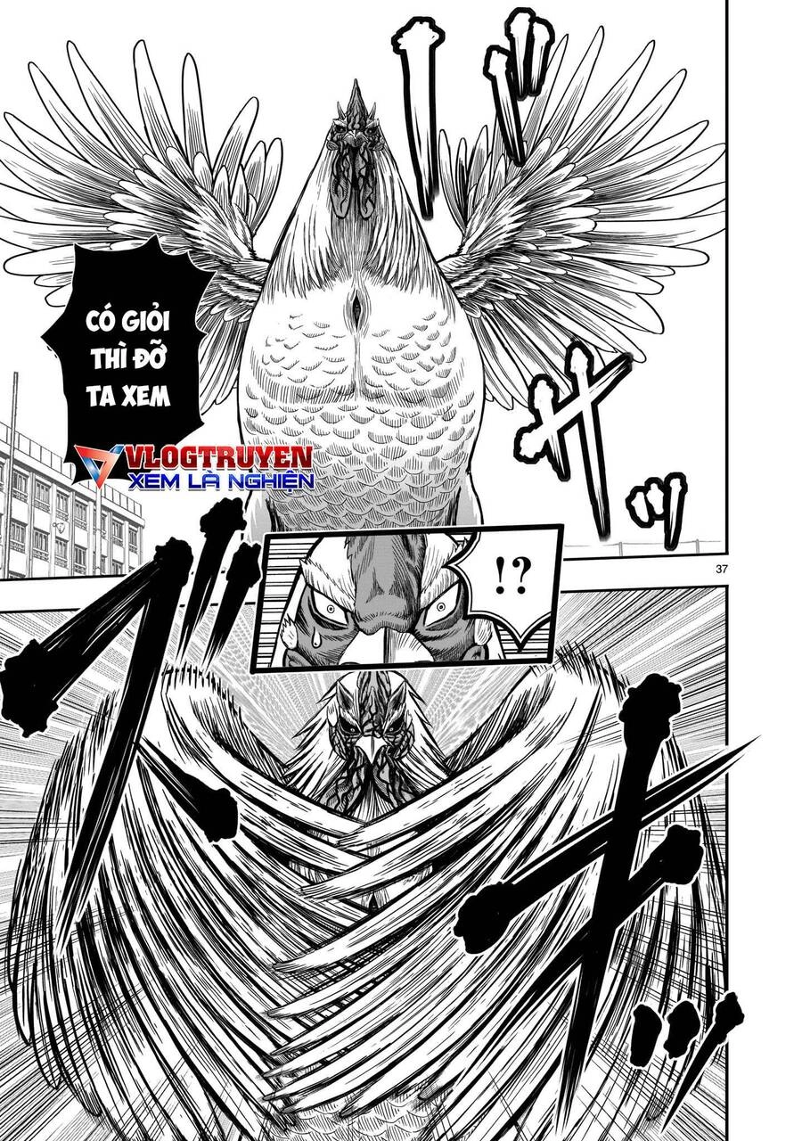 Cự Kê Chiến Ký Chapter 11 - 39