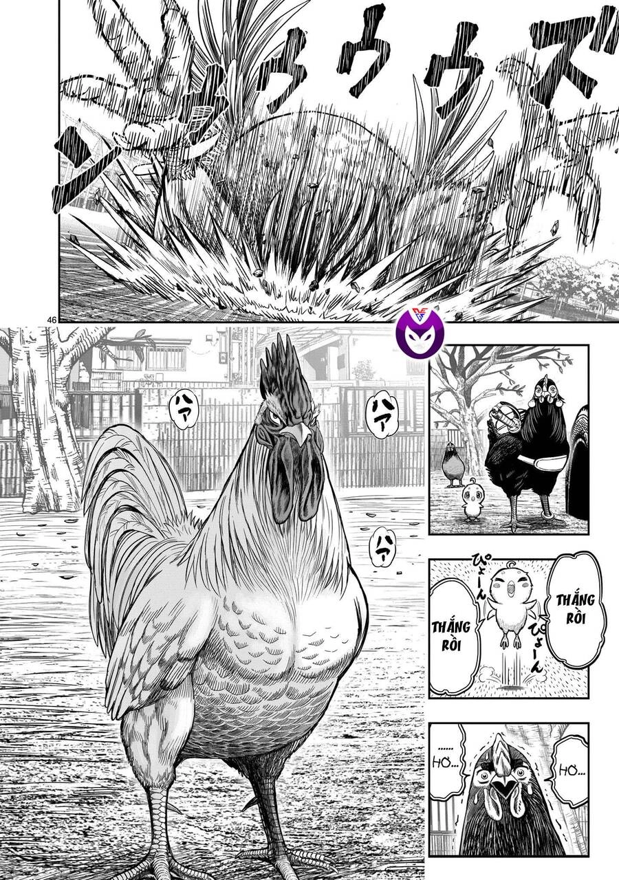 Cự Kê Chiến Ký Chapter 11 - 47