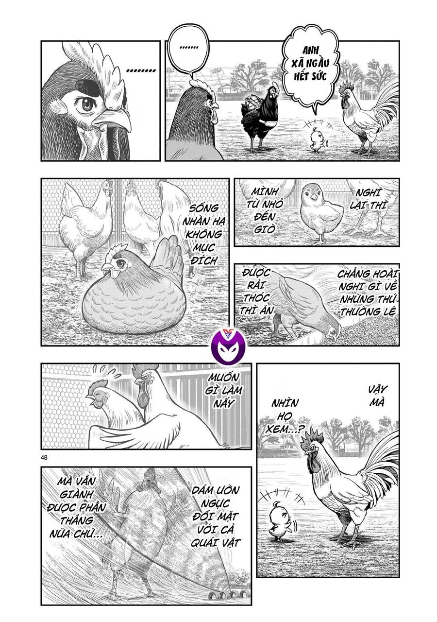 Cự Kê Chiến Ký Chapter 11 - 49