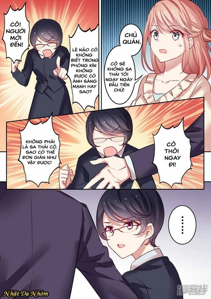 Mùa Hè Của Tổng Tài Chapter 1 - 9