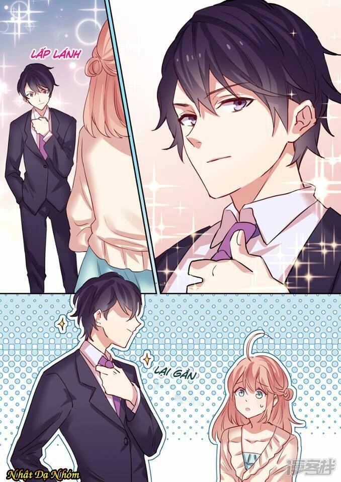 Mùa Hè Của Tổng Tài Chapter 1 - 10