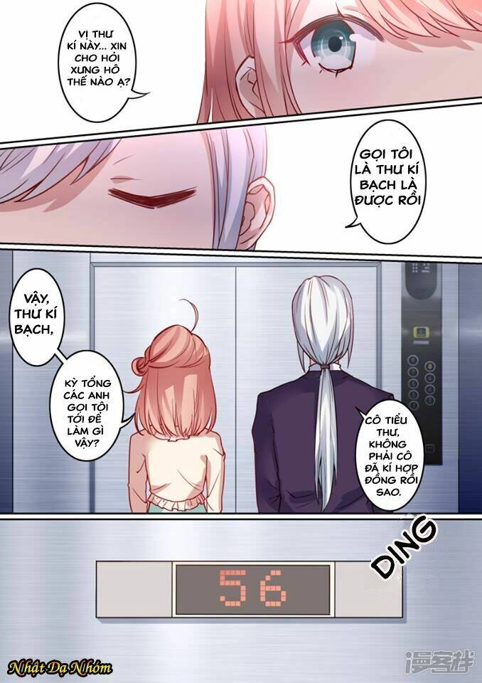 Mùa Hè Của Tổng Tài Chapter 1 - 19