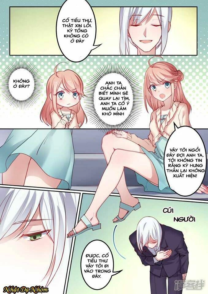 Mùa Hè Của Tổng Tài Chapter 2 - 11