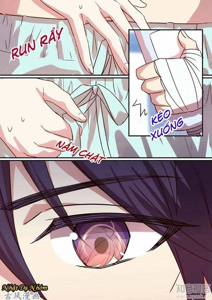 Mùa Hè Của Tổng Tài Chapter 25 - 11