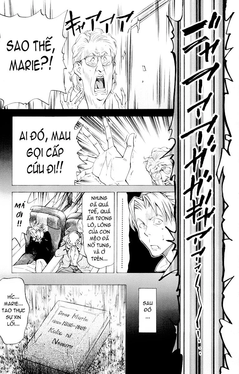 Vua Bánh Mì Chapter 72 - 12