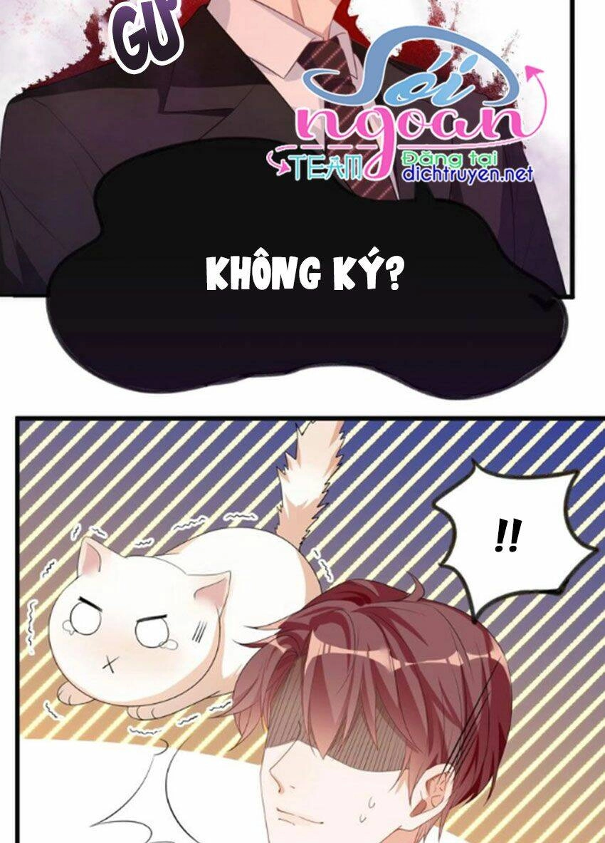 Ảnh Đế Làm Loạn Đòi Ly Hôn Chapter 1 - 36