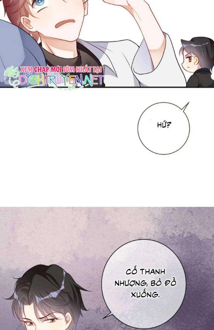 Ảnh Đế Làm Loạn Đòi Ly Hôn Chapter 2 - 23