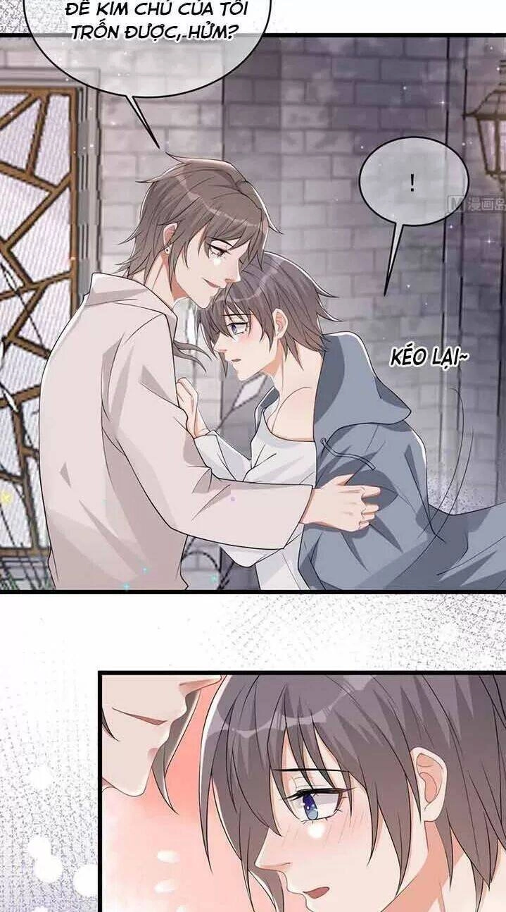 Ảnh Đế Làm Loạn Đòi Ly Hôn Chapter 32 - 17