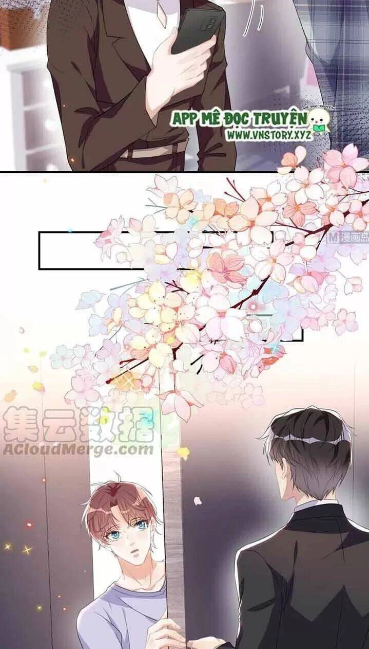 Ảnh Đế Làm Loạn Đòi Ly Hôn Chapter 41 - 16