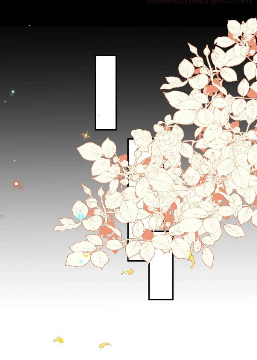 Ảnh Đế Làm Loạn Đòi Ly Hôn Chapter 64 - 6