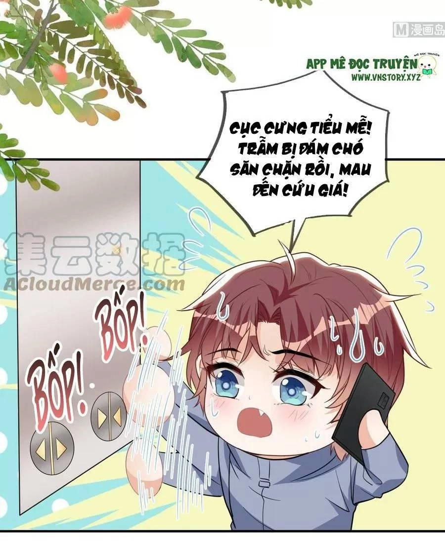 Ảnh Đế Làm Loạn Đòi Ly Hôn Chapter 82 - 20