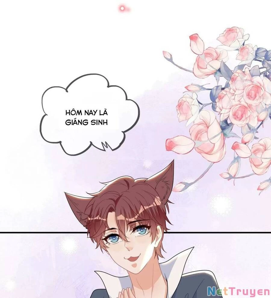 Ảnh Đế Làm Loạn Đòi Ly Hôn Chapter 82.5 - 11