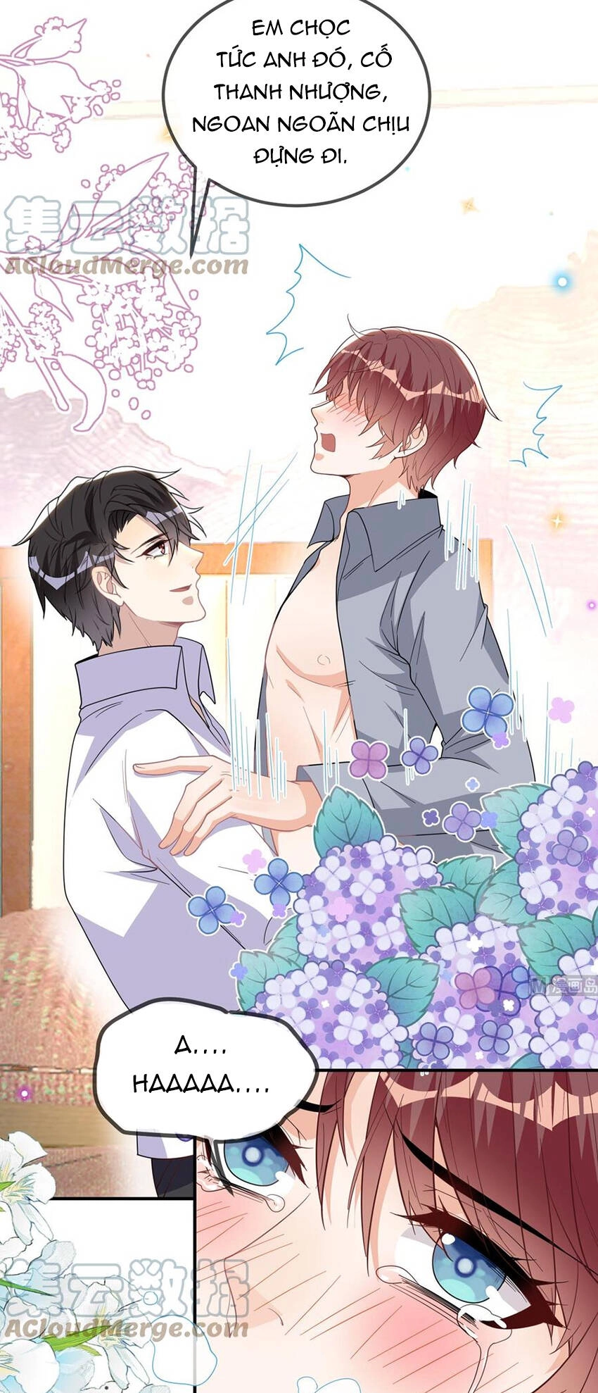 Ảnh Đế Làm Loạn Đòi Ly Hôn Chapter 95 - 7