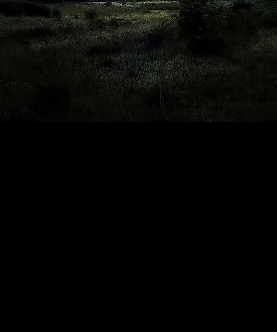 Tao Là Công Lý Chapter 16 - 60