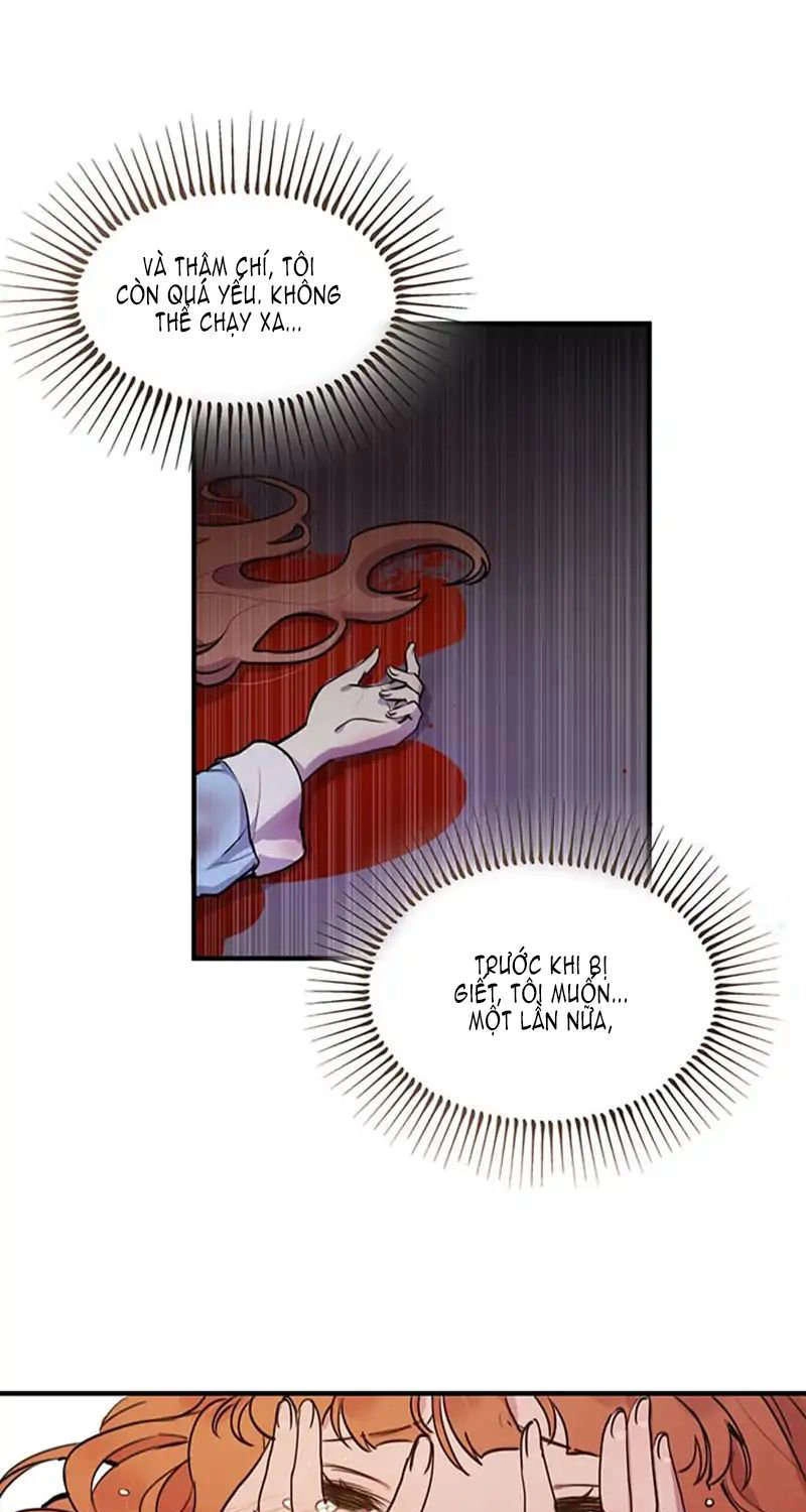 Công Tước, Loạn Vừa Thôi! Chapter 2 - 6