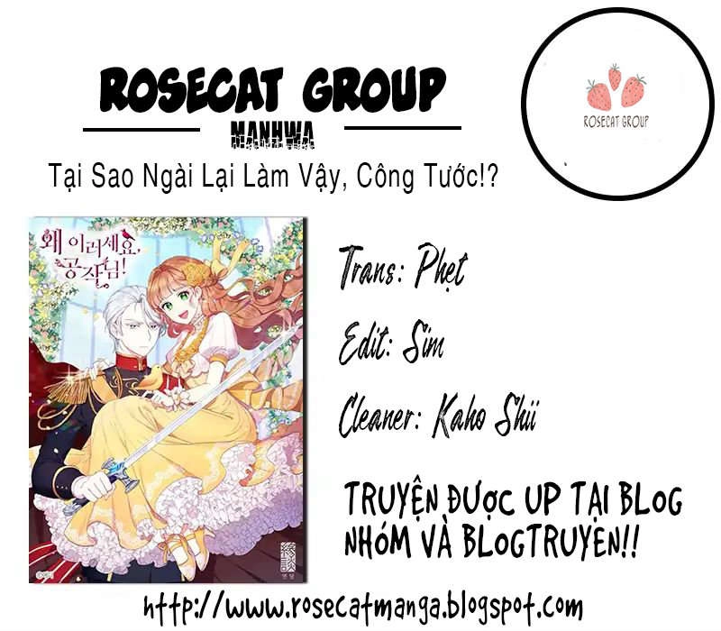 Công Tước, Loạn Vừa Thôi! Chapter 10 - 16