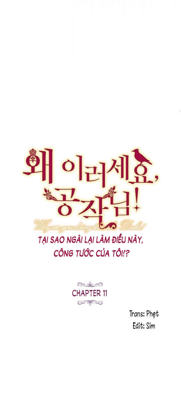 Công Tước, Loạn Vừa Thôi! Chapter 11 - 8