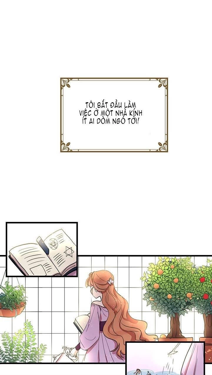 Công Tước, Loạn Vừa Thôi! Chapter 11 - 11