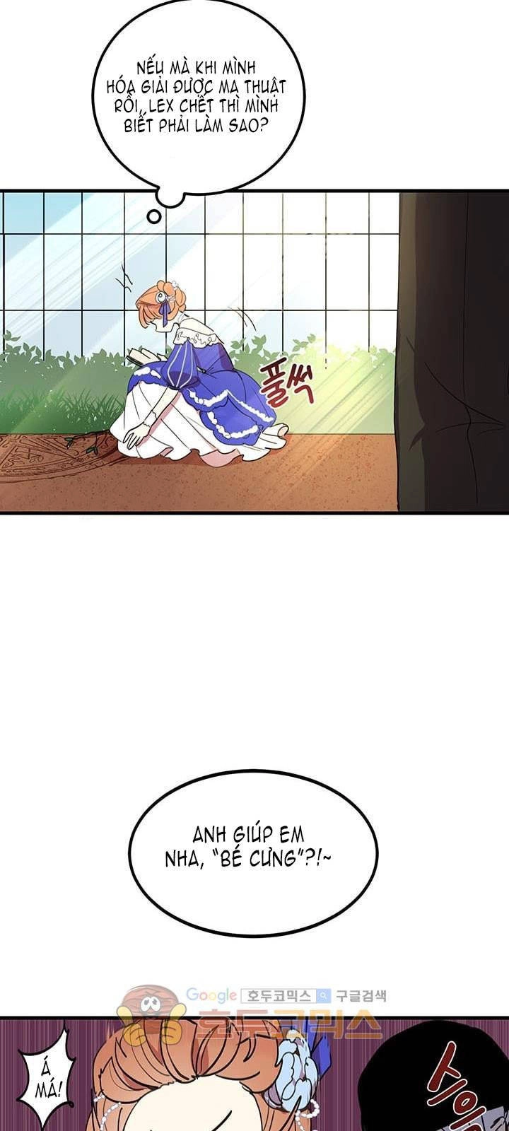 Công Tước, Loạn Vừa Thôi! Chapter 11 - 16