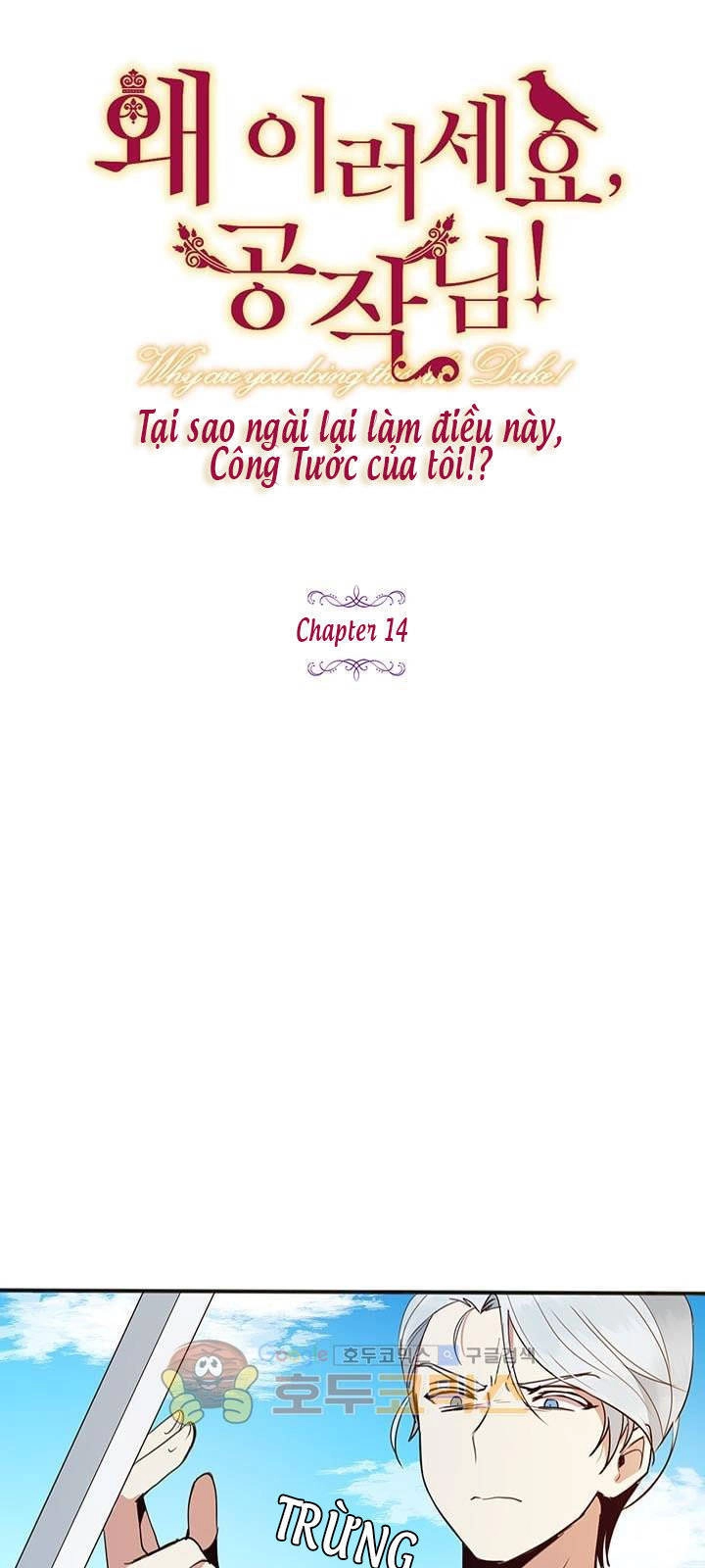 Công Tước, Loạn Vừa Thôi! Chapter 14 - 2