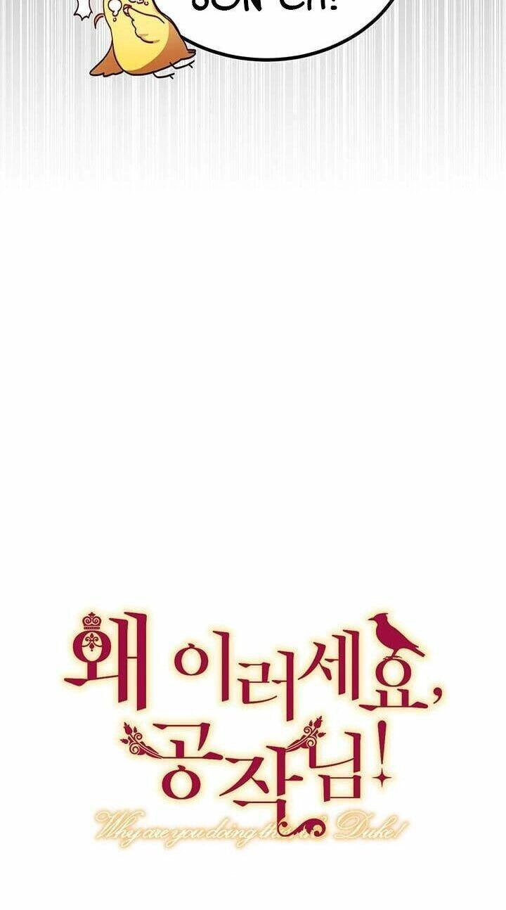 Công Tước, Loạn Vừa Thôi! Chapter 25.7 - 10