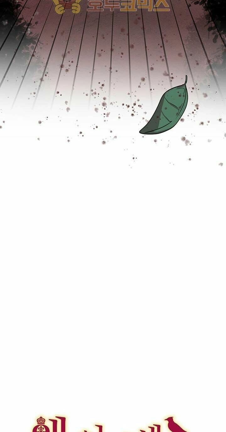 Công Tước, Loạn Vừa Thôi! Chapter 27 - 6