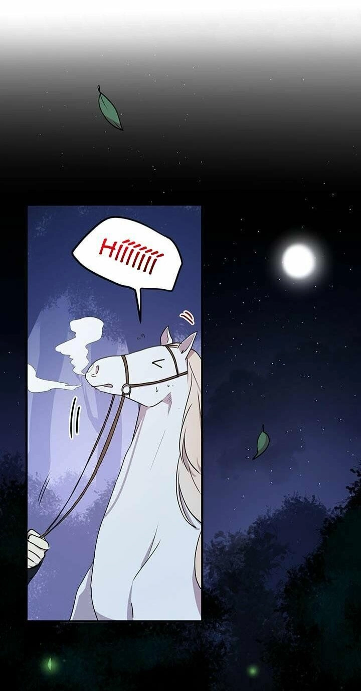 Công Tước, Loạn Vừa Thôi! Chapter 27 - 8