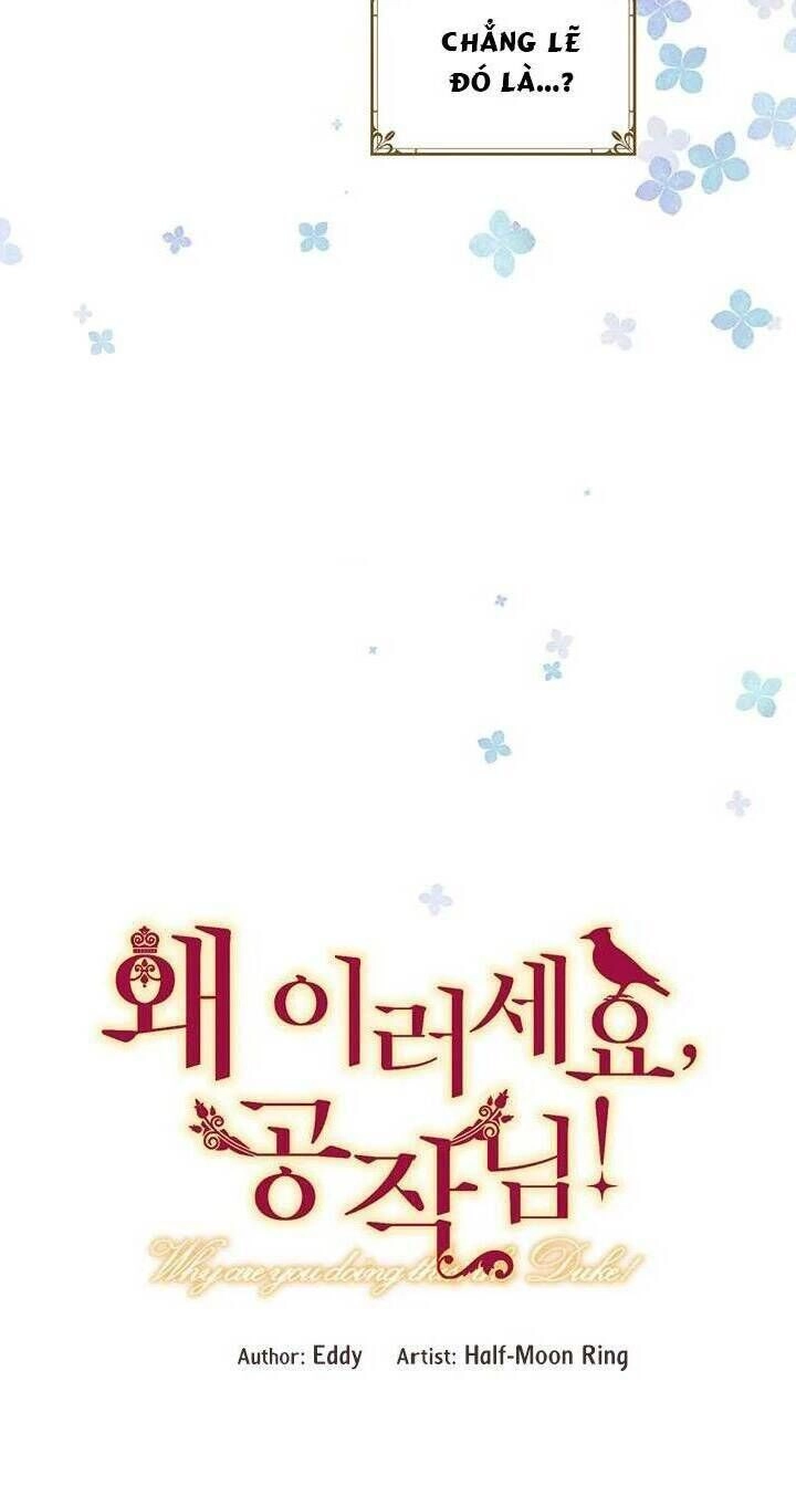 Công Tước, Loạn Vừa Thôi! Chapter 37 - 11