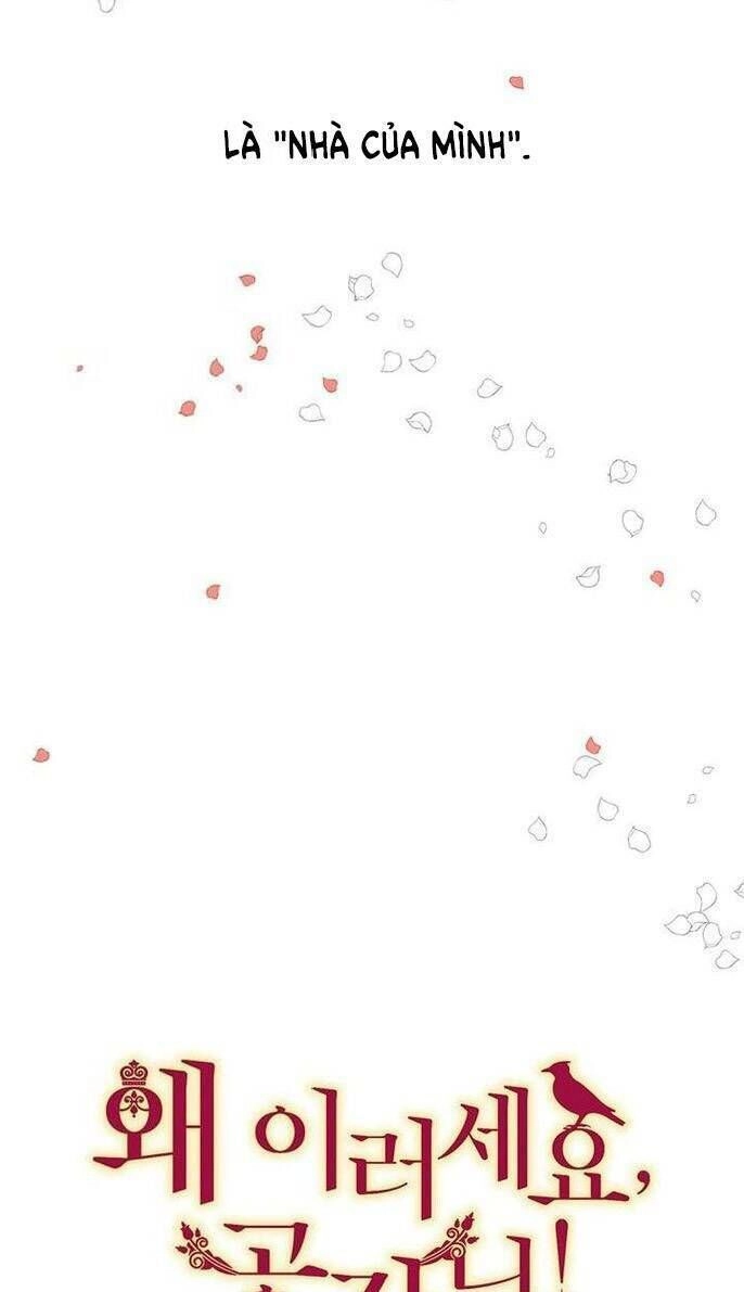 Công Tước, Loạn Vừa Thôi! Chapter 43 - 8