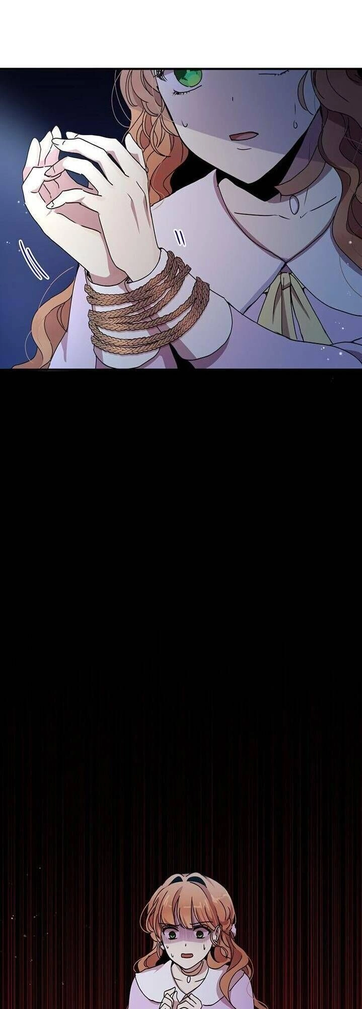 Công Tước, Loạn Vừa Thôi! Chapter 65 - 50