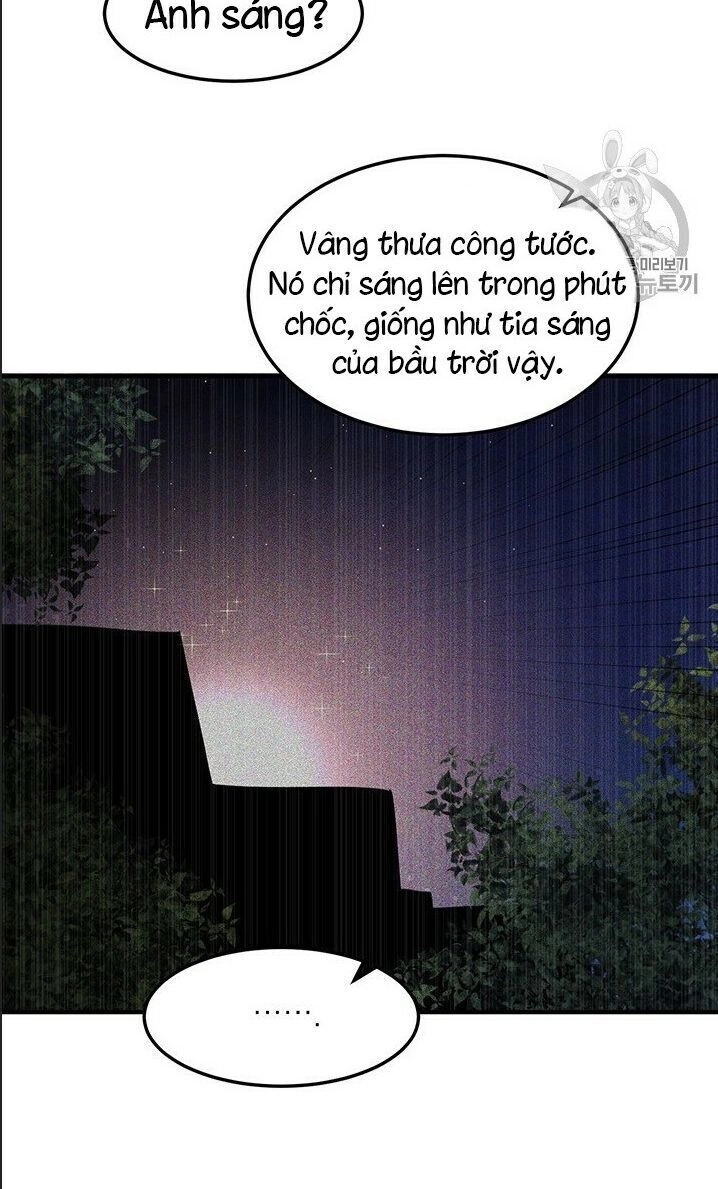 Công Tước, Loạn Vừa Thôi! Chapter 71 - 22