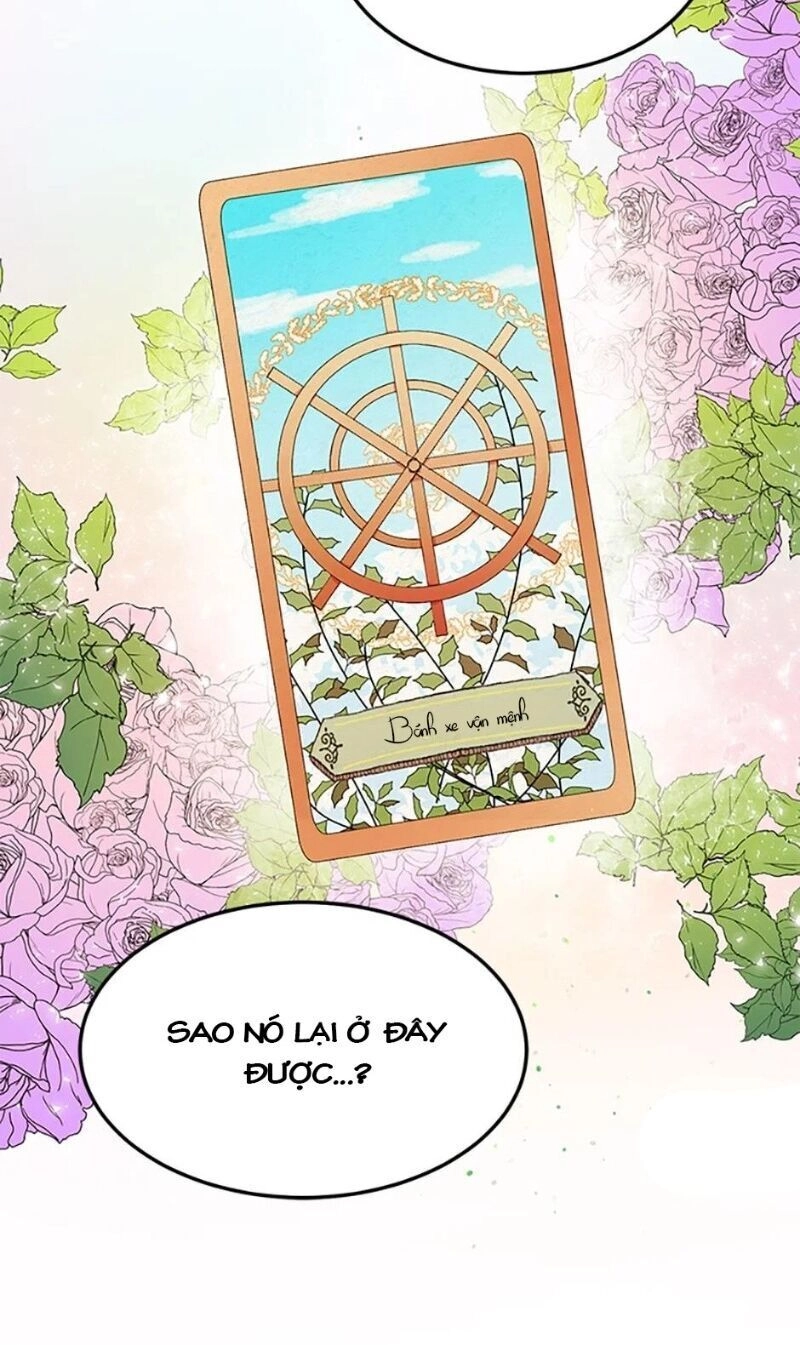 Công Tước, Loạn Vừa Thôi! Chapter 81 - 8