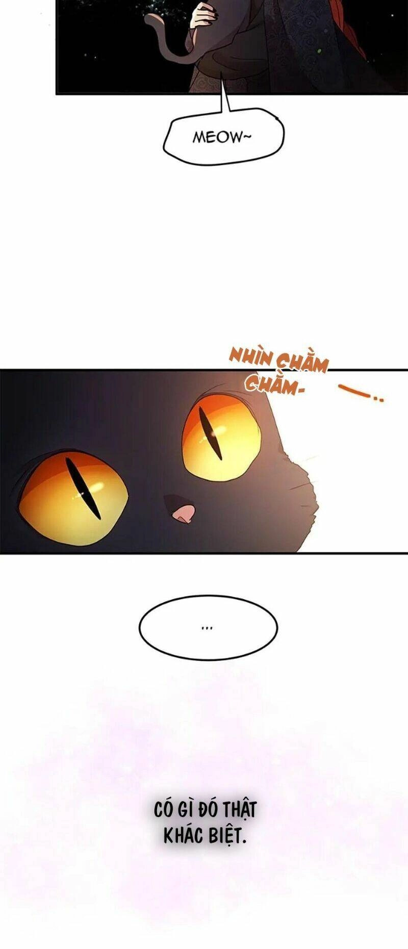 Công Tước, Loạn Vừa Thôi! Chapter 88 - 13