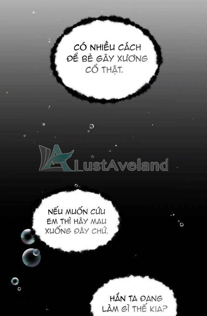 Công Tước, Loạn Vừa Thôi! Chapter 102 - 63