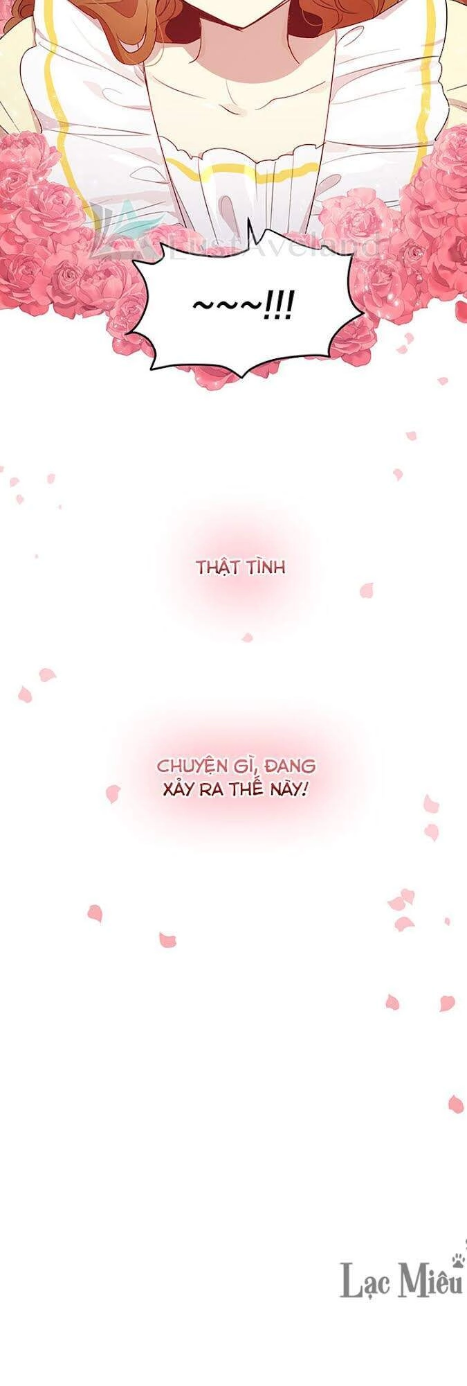 Công Tước, Loạn Vừa Thôi! Chapter 106 - 46