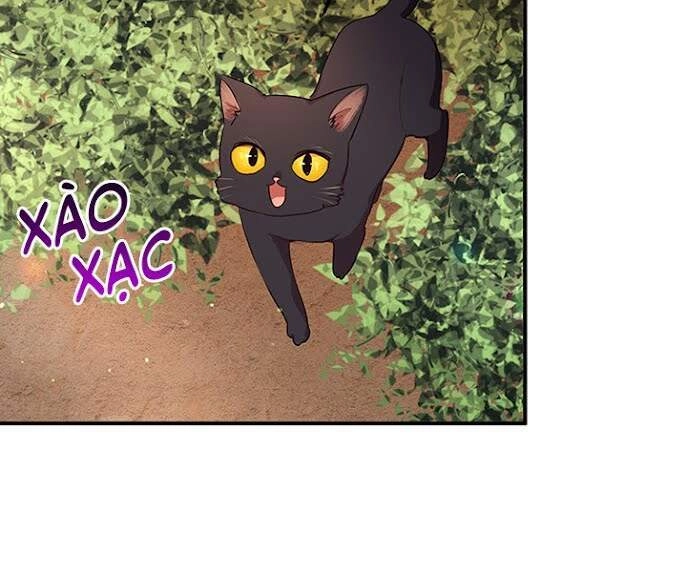 Công Tước, Loạn Vừa Thôi! Chapter 107 - 36