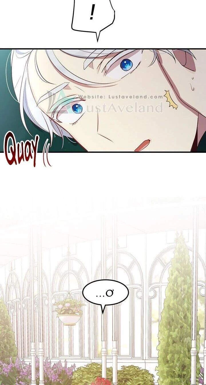 Công Tước, Loạn Vừa Thôi! Chapter 113 - 8