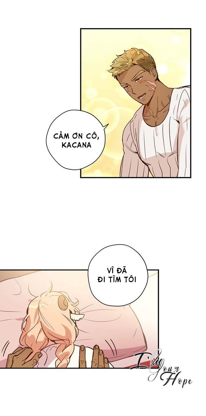 Hãy Dậy Đi Hỡi Chiến Binh Chapter 5 - 8