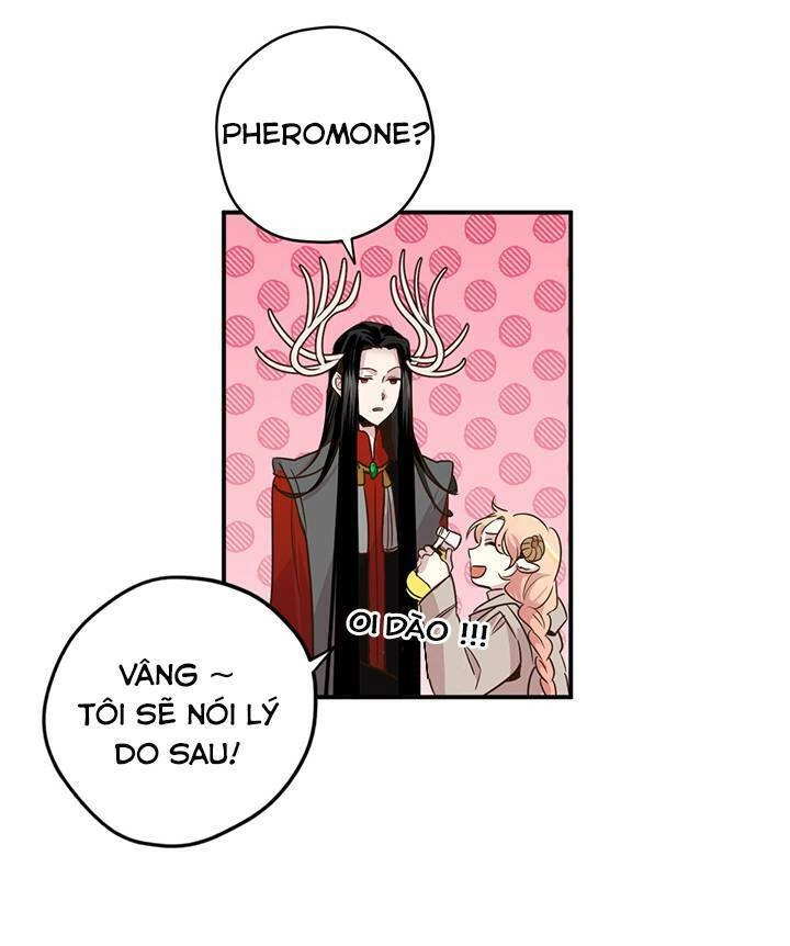 Hãy Dậy Đi Hỡi Chiến Binh Chapter 17 - 24