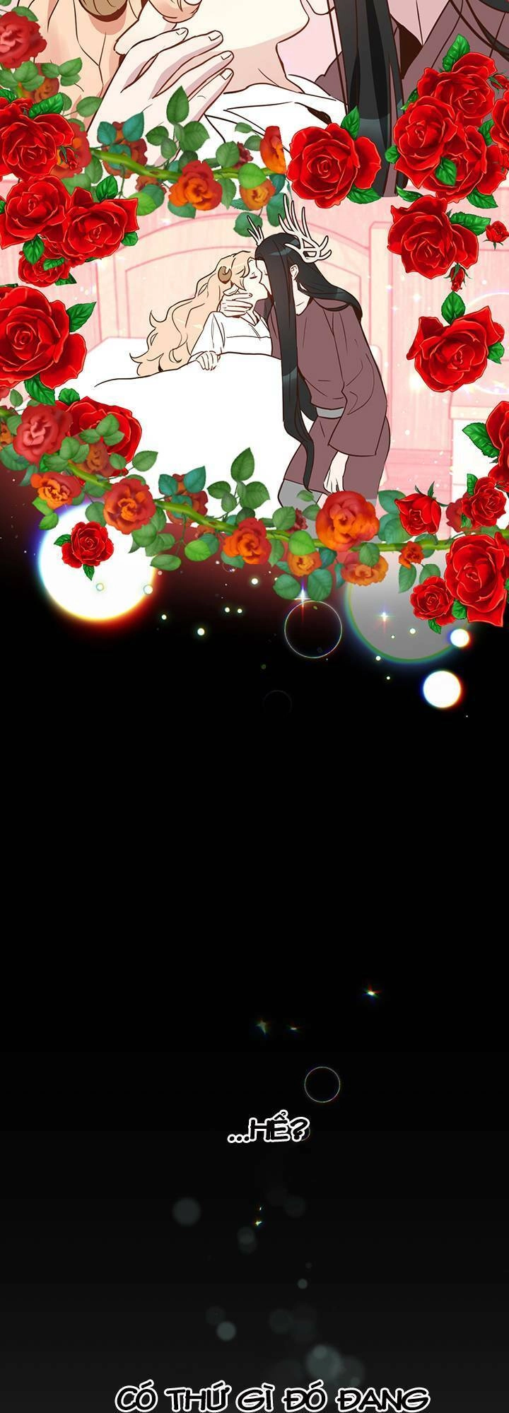 Hãy Dậy Đi Hỡi Chiến Binh Chapter 21 - 29